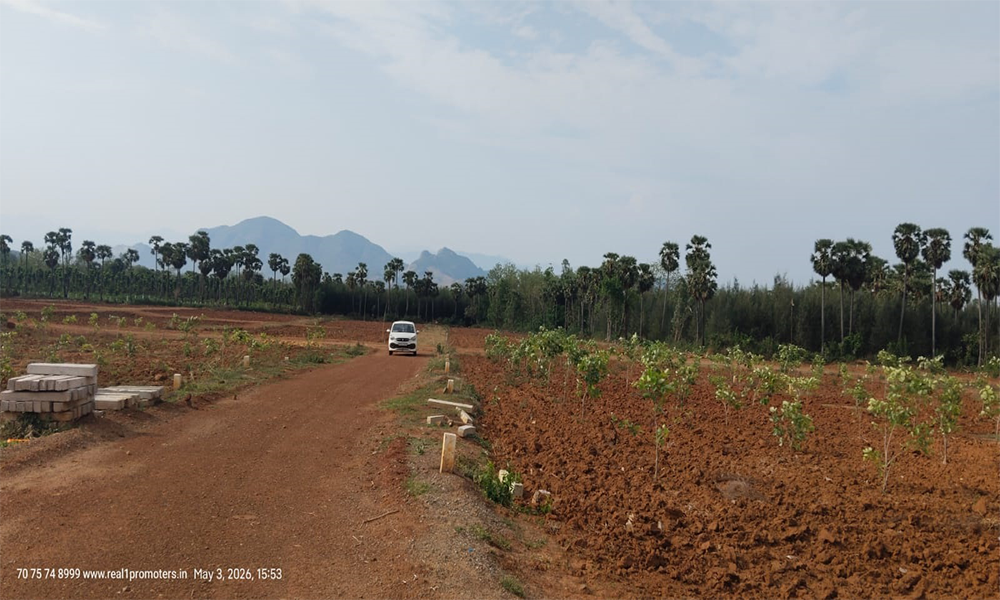 farm-land-project